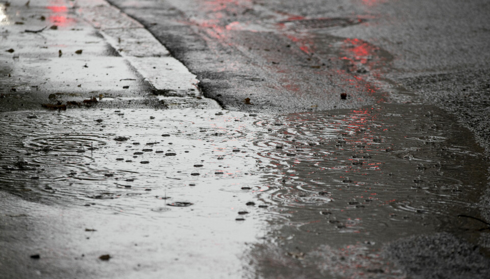 VÅTT: Det blir mye regn på Sørlandet og Østlandet på fredag.