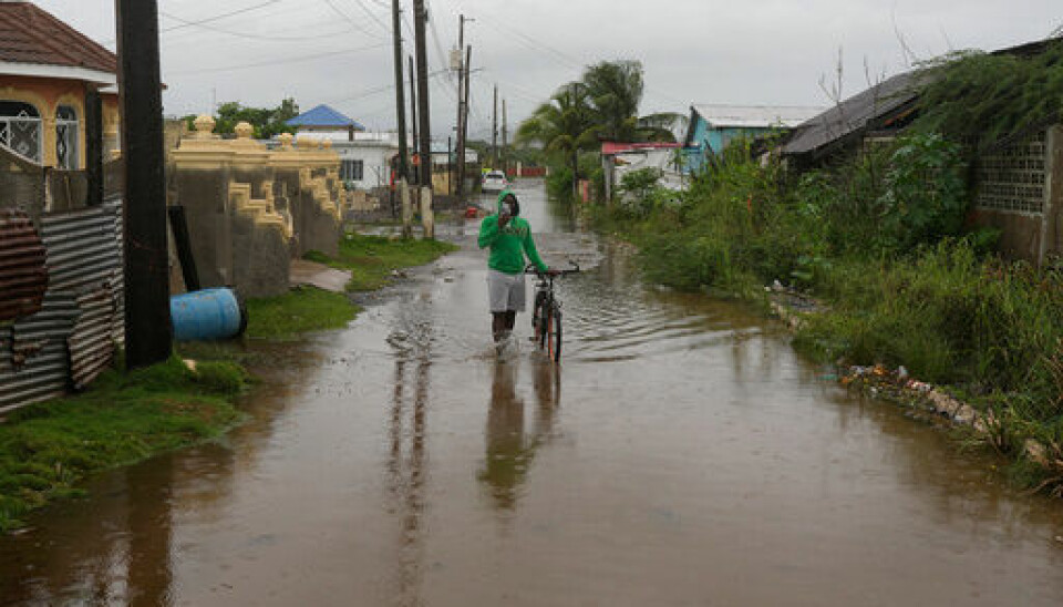 FØR STORMEN: Det er allerede store oversvømmelser på Jamaica. Bildet viser en mann som går med sykkelen sin på en oversvømt vei. Foto: Matias Delacroix / AP / NTB