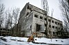 Vill rev i snø foran nedslitt betongbygning i Pripjat ved Tsjernobyl