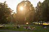 Mennesker sitter og ligger i gresset i Sofienbergparken mens solen skinner gjennom trærne.