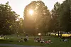 Mennesker sitter og ligger i gresset i Sofienbergparken mens solen skinner gjennom trærne.
