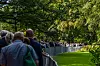En lang kø av mennesker står langs metallgjerder i en grønn park under trær.