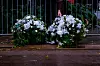 Hvite blomsterkranser og buketter står langs et gjerde ved en våt gate i Oslo.