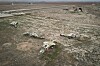 Gamle syriske fly står på Abu al-Duhur-flybasen øst for Idlib i Syria. Bildet er tatt 7. desember 2024, etter at syriske opprørere tok kontroll over området.