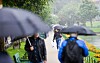 Flere personer går med svarte paraplyer på en våt gangvei ved en park og vannkant.