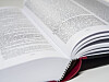 Bilde av to sider i en norsk ordbok. Foto: Stian Lysberg Solum / NTB