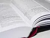 Bilde av to sider i en norsk ordbok. Foto: Stian Lysberg Solum / NTB