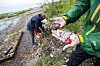 Miljøverner holder plastpellets over en forurenset strand mens en annen samler avfall i bakgrunnen.