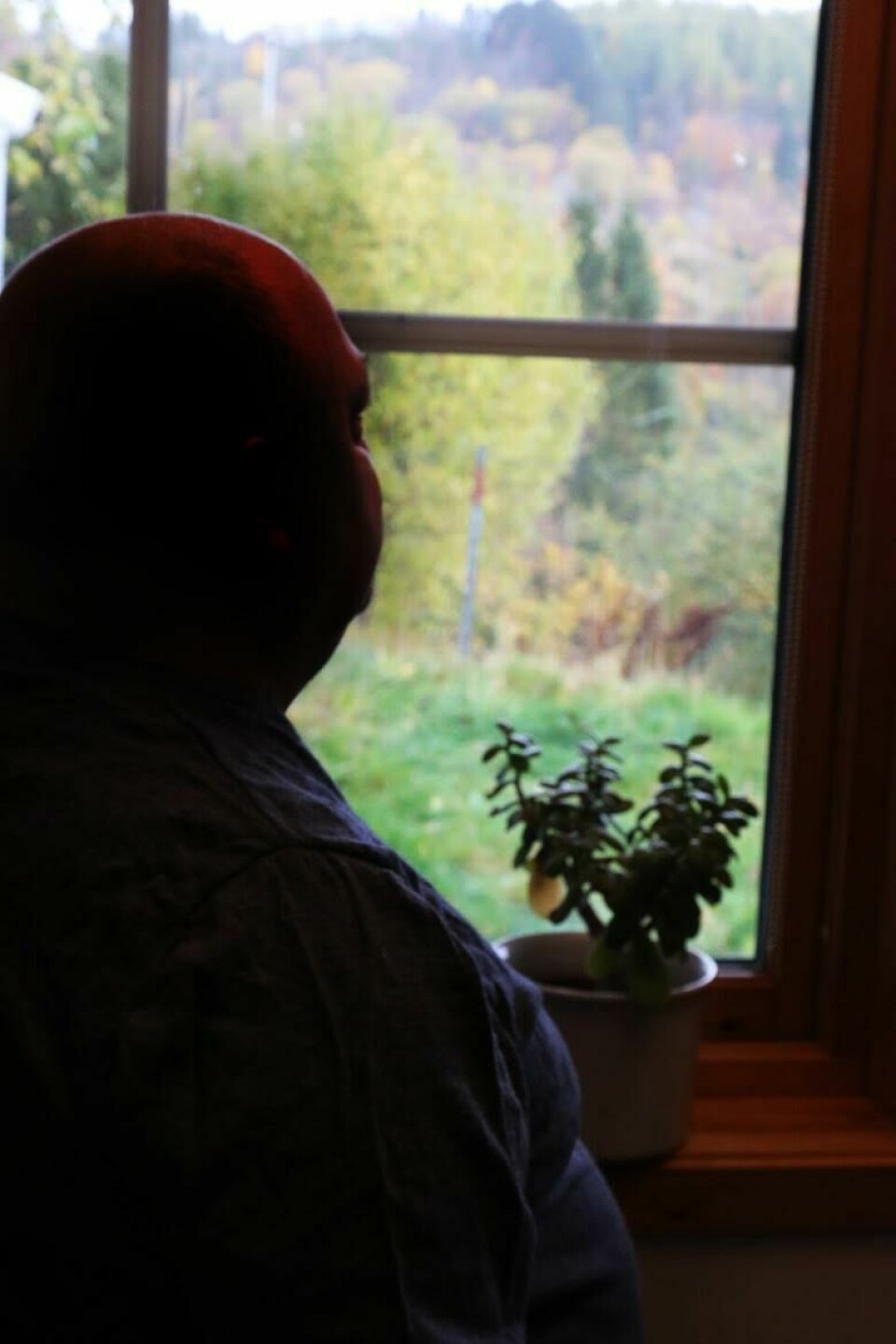 De som ikke forsto ###