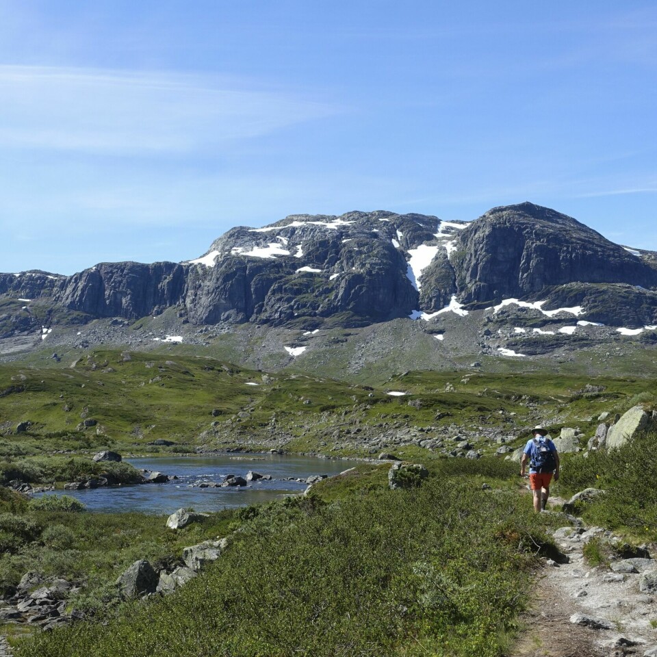 NATUR: Nordmenn elsker naturen. Vi går turer, står på ski og nyter stillheten. Samtidig er vi redde for å miste alt dette. Bildet viser en mann på tur i fjellet.