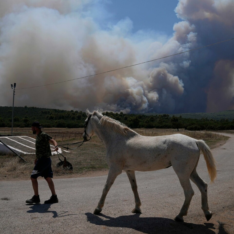 BRANN: En mann evakuerer en hest fra en stall i landsbyen Pournari i Hellas tirsdag. Røykskyene fra skogbrannen stiger i bakgrunnen. En mann evakuerer en hest fra en stall i landsbyen Pournari i Hellas tirsdag, mens røykskyene fra skogbrannen stiger i bakgrunnen. Foto: Thanassis Stavrakis/AP/NTB