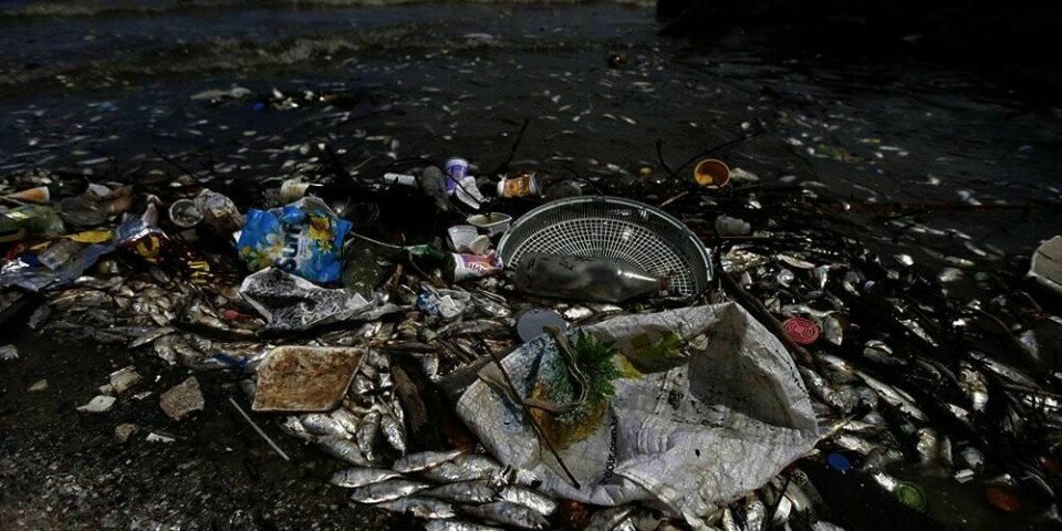 PLAST: En forurenset strand utenfor Rio de Janeiro i Brasil. Plast i havet er et stort problem. Det gjør skade på både fisk og fugl.
