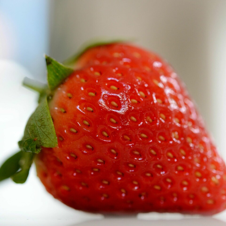NÅLER: Noen stikker nåler i jordbær i Australia.
