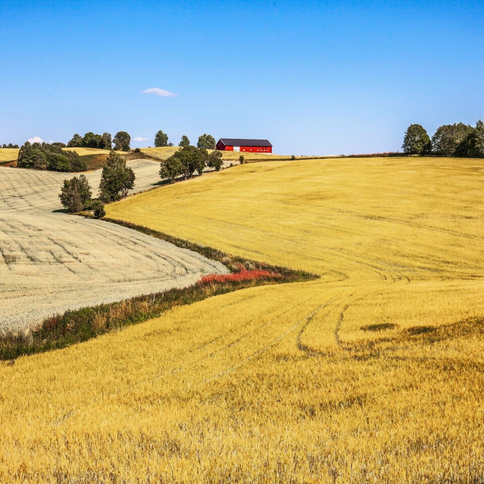NORGE: Storbyene er i mindre grad enn før ettertraktet som bosted for innvandrere i Norge.