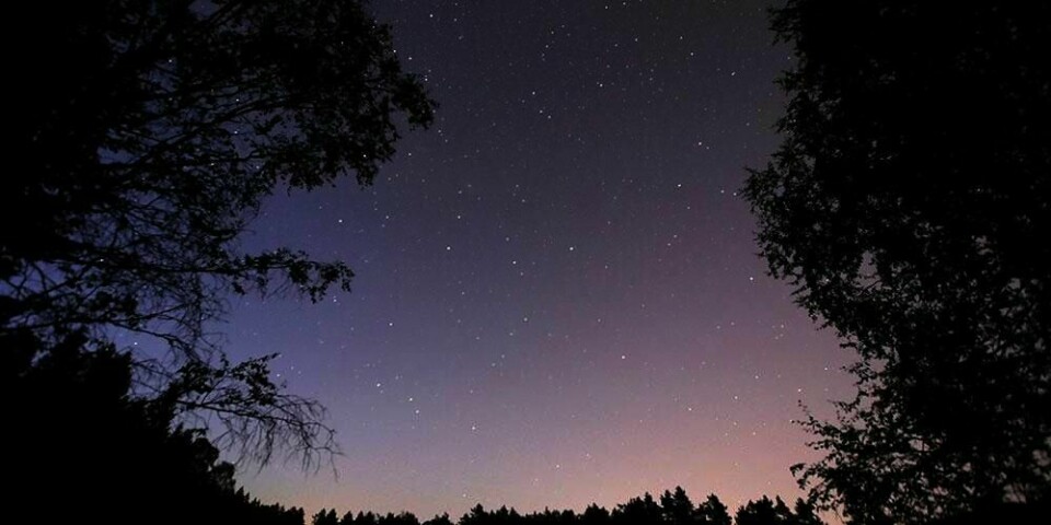 METEOR-SVERM: I natt kan du se mange stjerneskudd på nattehimmelen. Det skyldes meteor-svermen Leonidene.