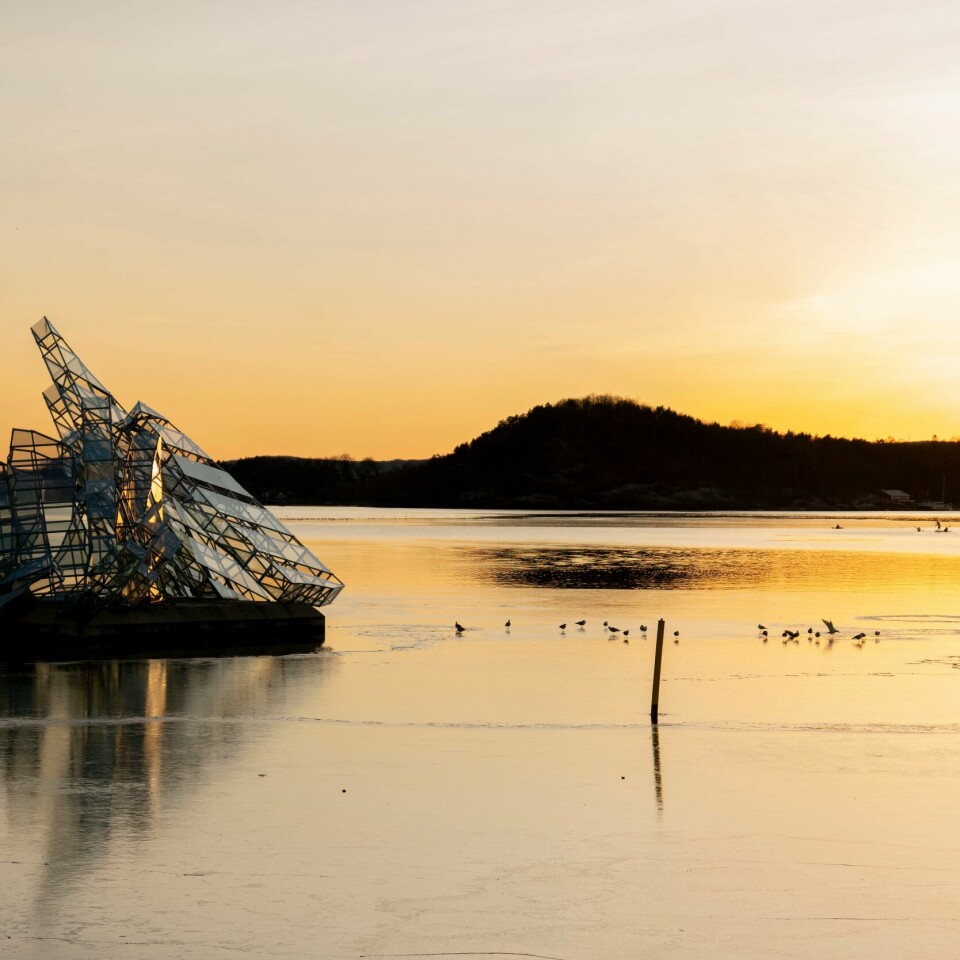 SOL: Det er meldt sol mange steder torsdag. Men det varer ikke lenge. Bilde viser gult lys over havet i Oslo.