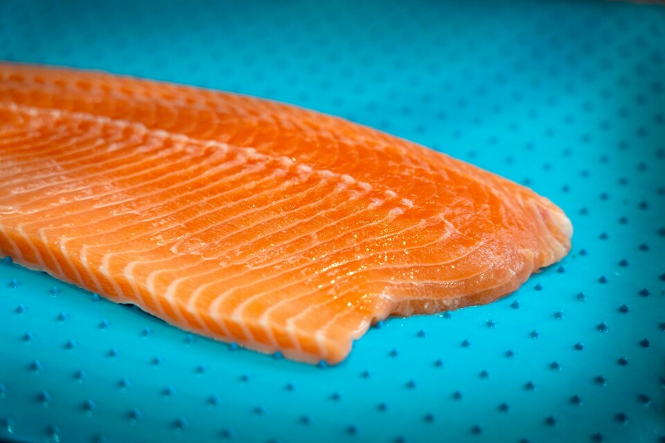 DYRERE: Fisk er blant matvarene som har blitt dyrere. Bildet viser en laksefilet. Foto: Gorm Kallestad / NTB
