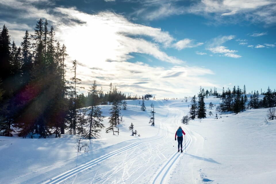 VÆR: Du må opp i høyden for å oppleve skikkelig vintervær, ifølge meteorologene. Man må opp i høyden for å oppleve skikkelig vintervær, ifølge meteorologene. Foto: Gorm Kallestad / NTB