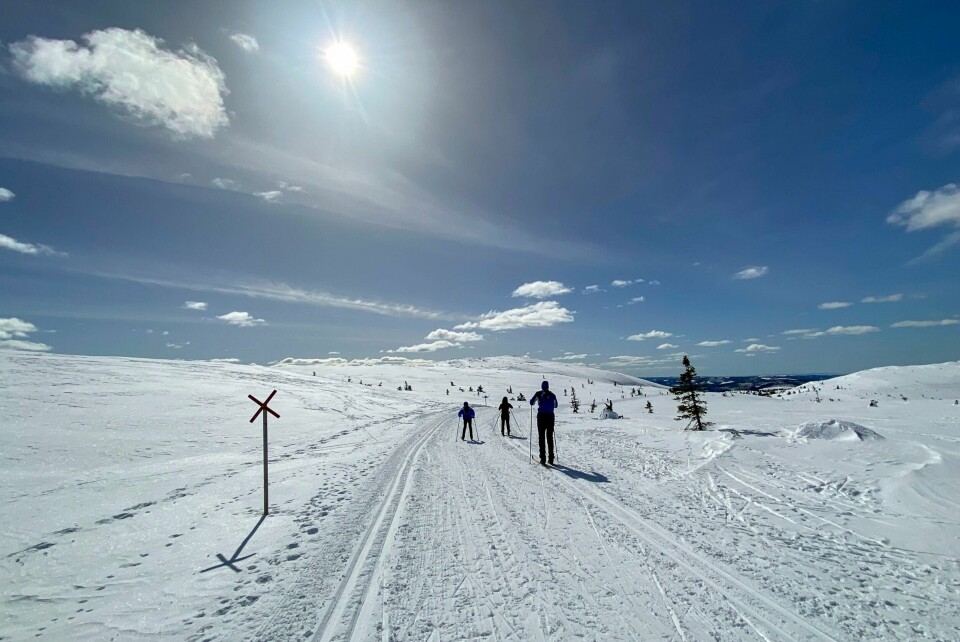 UV-INDEKS: Skal du ut i strålende sol? Det er lurt å sjekke om UV-strålingen er sterk. Da bør du beskytte huden. Bilde av folk som går på ski på fjellet i sola. Foto: Erik Johansen / NTB