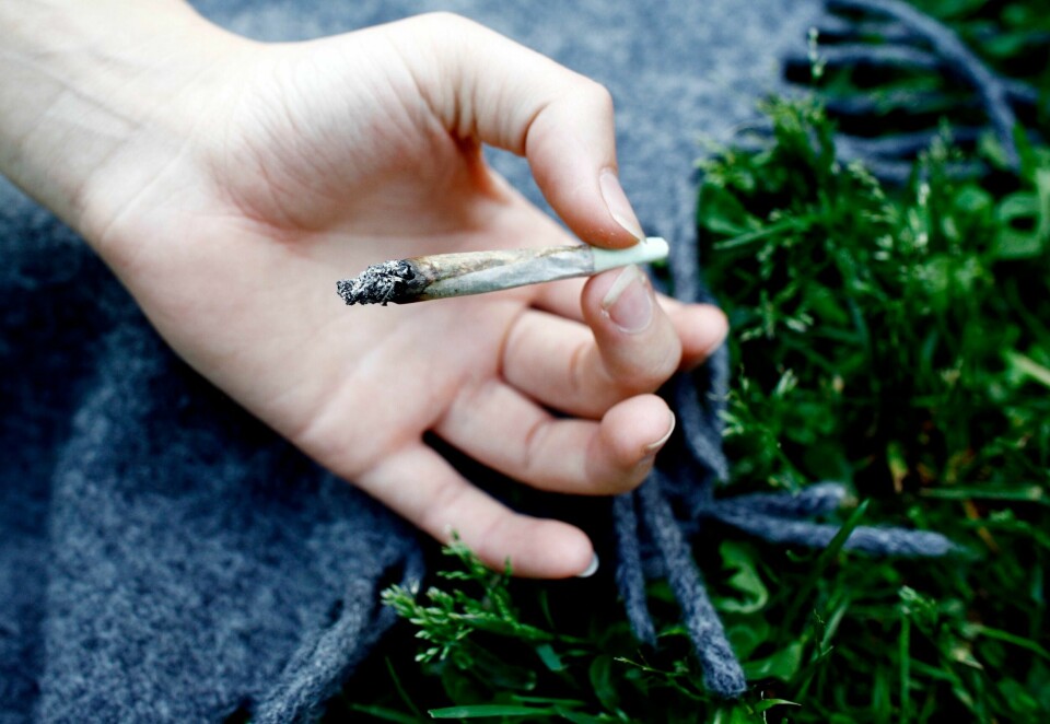 ØKER: Flere elever i 10. klasse sier de bruker eller har brukt cannabis enn før.