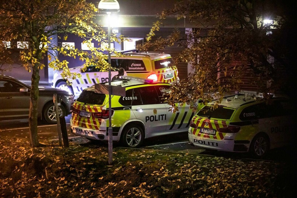 VOLDTEKT: Politiet har pågrepet sju personer på Hønefoss. De er siktet for grov voldtekt av en kvinne.