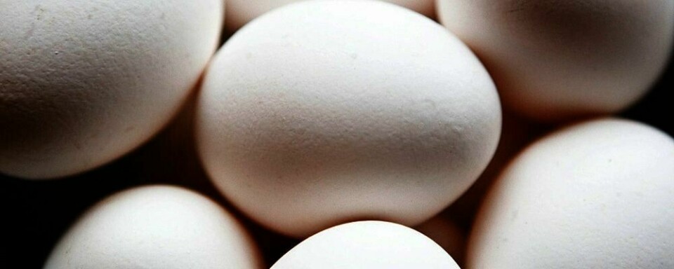 TRYGT: Matvarer som er merket med «siste forbruksdag» bør du ikke spise etter datoen. Det gjelder for eksempel kjøtt og fisk. Men egg og produkter med sur melk holder seg lenger. Egg kan spises sju måneder etter at de har gått ut på dato.