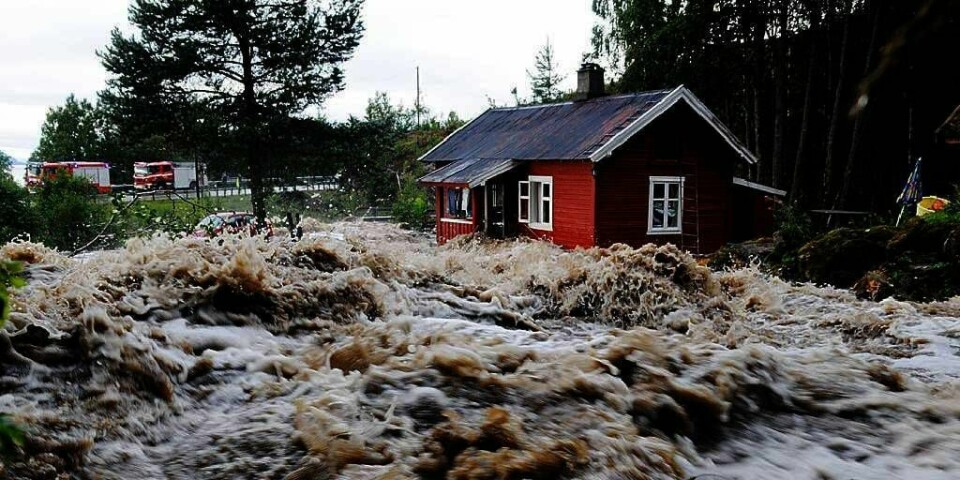 FLOM: Norges vassdrags- og energi-direktorat (NVE) ble overrasket av alt vannet i Midt-Norge og på Østlandet. De trodde ikke det skulle bli flom.