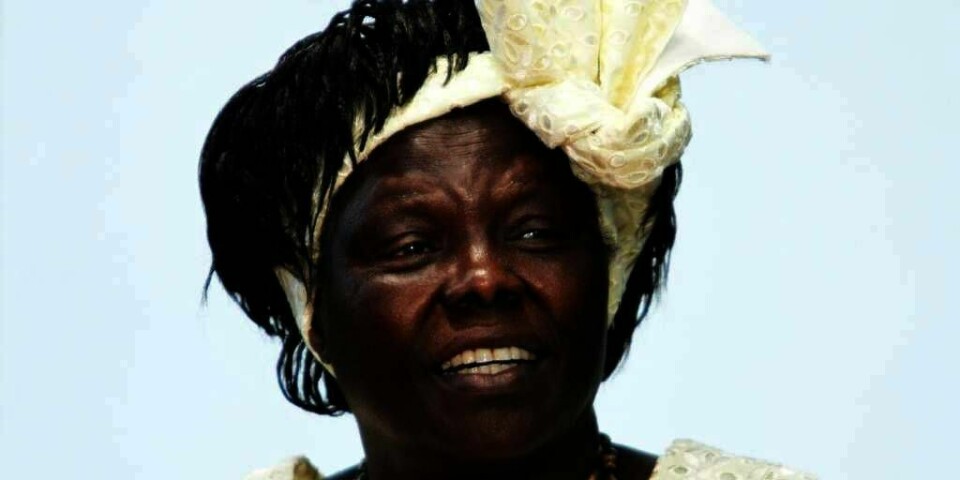 DØD: Wangari Maathai fikk Nobels fredspris i 2004. Hun kjempet mot sykdommen kreft. Natt til mandag døde hun, 71 år gammel.
