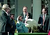 Bildet viser George Bush med en kalkun.