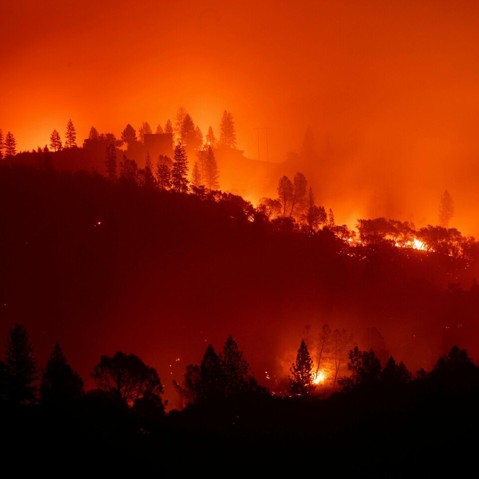 DØDE: Skogbranner herjer i delstaten California i USA. Så langt er 31 personer er funnet døde.