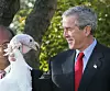 Bildet viser George W. Bush med kalkunen i 2004.