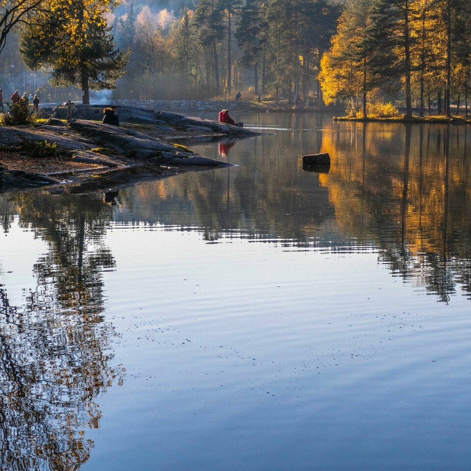 VÆRET: Det er meldt «godt vær» i store deler av landet resten av uken. Sognsvann i Nordmarka i Oslo er et populært utfartssted det meste av døgnets timer. Foto: Halvard Alvik / NTB