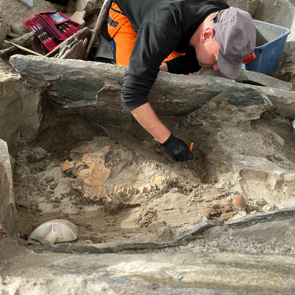 HISTORISK: Arkeologer har gjort et historisk funn. De har funnet en 4000 år gammel grav. Bildet viser en arkeolog som undersøker den 4000 år gamle graven i Selje.