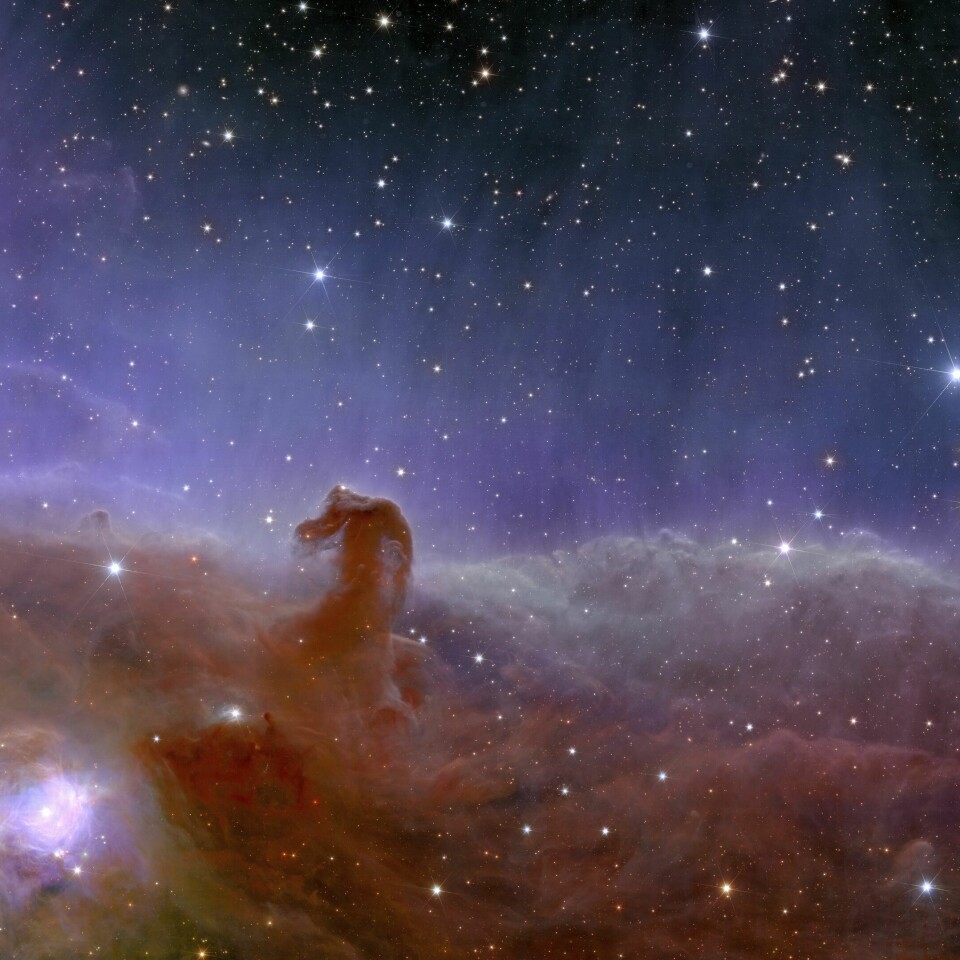 VERDENSROMMET: Teleskopet Euclid skal ta bilder av universet for å finne ut av ulike ting. Bildet viser Euclids utsikt over galaksetåken i verdensrommet som ligner et hestehode. Den europeiske romfartsorganisasjonen (Esa) håper teleskopet skal gi innsikt i hva mørk materie og mørk energi er. Foto: Esa / AP / NTB