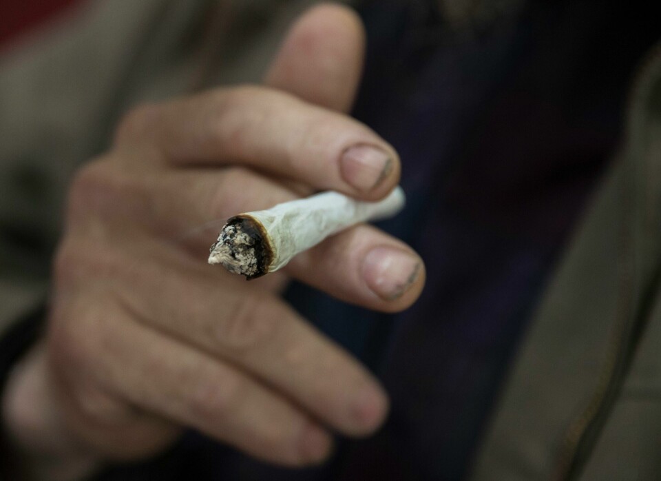 RUSMIDDEL: Cannabis kan røykes, drikkes som te eller spises. Forskere stikker hull på oppfatningen om at cannabisbrukere er late og får manglende evne til å nyte livets gleder. Arkivfoto: Vidar Ruud / NTB