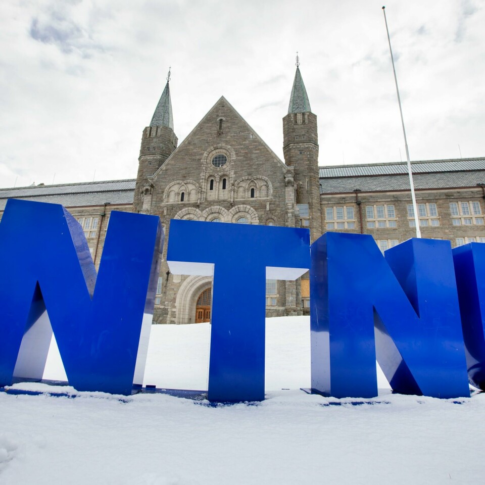 STUDIE: Norske universiteter er blitt mindre internasjonale. Det gjelder også NTNU. Det skiller nesten 900.000 kroner i lønn mellom den best og dårligst betalte rektoren ved norske statlige universiteter og høgskoler. Best betalt er rektoren ved NTNU. Foto: Gorm Kallestad / NTB