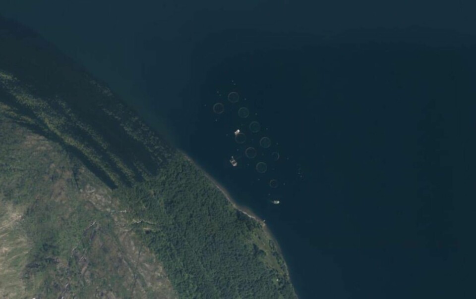 HAMARØY: I dette området leter politiet etter en fryseboks på havets bunn. Bildet viser flyfoto av området der politiet leter etter fryseboksen.