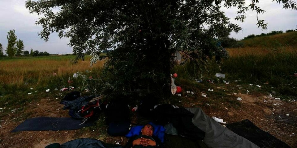 UTE: Mange flykter fra krig og fattigdom. De er avhengige av at folk hjelper dem. Her sover en mann fra Afghanistan under et tre i Serbia sammen med andre flyktninger.