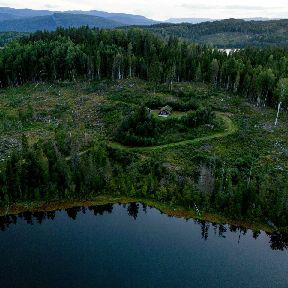 KRIMINALITET: Det var her Jonas Aarseth Henriksen ble funnet drept. Det vart i nærheten av denne hytta i Nes i Ådal at Jonas Aarseth Henriksen (30) ble funnet drept. Foto: Stian Lysberg Solum / NTB