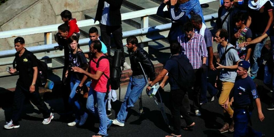Tok beina fatt: Hundrevis av migranter og flyktninger begynte fredag å gå fra Budapest mot Østerrike.
