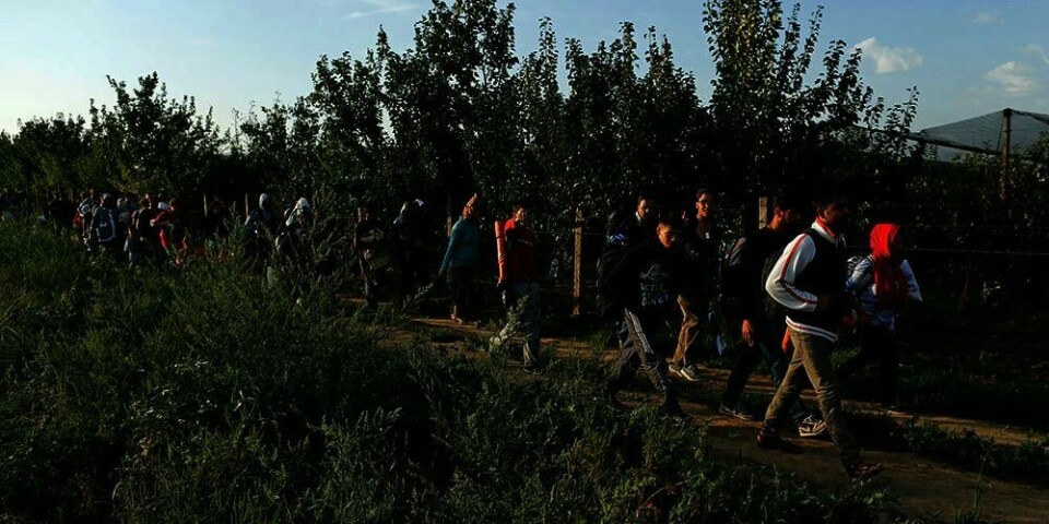 FLYKTNINGER: Flyktninger går langsmed grensa til Serbia. Kroatia lover å hjelpe dem videre.