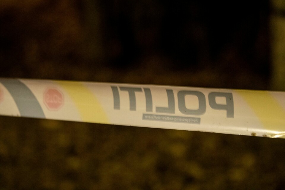 BRANN: Politiet fikk beskjed om en brennende bil. Det skjedde natt til tirsdag. Meldingen om den brennende bilen kom natt til tirsdag. Foto: Annika Byrde / NTB