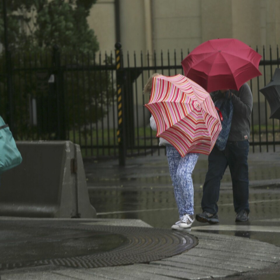 REGN: I Sør-Norge har det ikke regnet på lenge. I dag begynte det å regne på Vestlandet. Men det kan se dårlig ut for Østlandet og Sørlandet. Vått og kaldt er nøkkelordene meteorologene bruker for å beskrive det norske sommerværet i år. Foto: Vidar Ruud / NTB