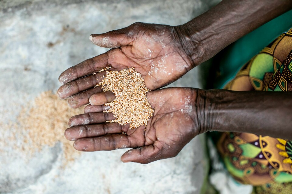TØRKE: Angola er inne i sin verste tørke på 40 år. Det er den humanitære krisen vi hørte minst om i 2022, ifølge Care. Angola er inne i sin verste tørke på 40 år og topper hjelpeorganisasjonen Cares liste over de ti humanitære krisene vi hører minst om. Illustrasjonsfoto: Karin Schermbrucker / Care / NTB
