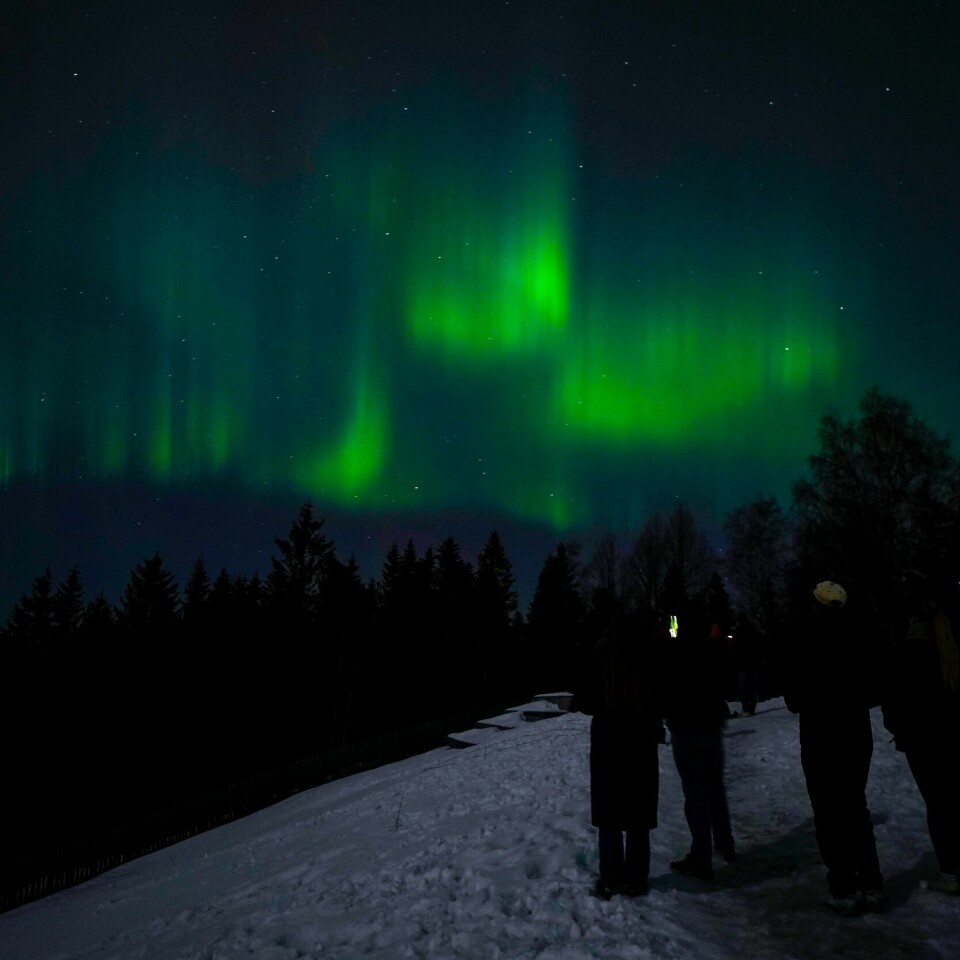 DANSER: Nordlyset danser på nattehimmelen over Østlandet. Her sett fra Grefsenkollen i Oslo. Foto: Håkon Mosvold Larsen / NTB Nordlys over Østlandet sett fra Grefsenkollen i Oslo. Foto: Håkon Mosvold Larsen / NTB