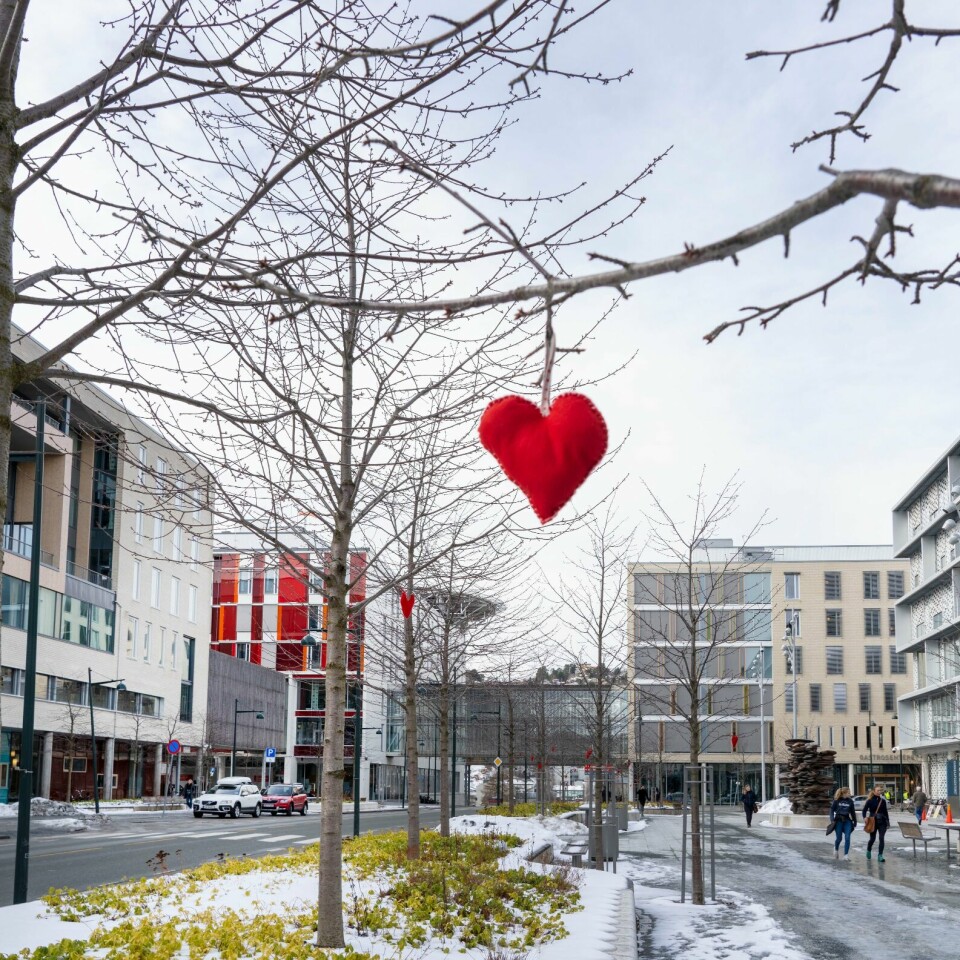 LEGE: Nesten halvparten av legene her ved St. Olav sier de vurderer å slutte, enten fordi de ønsker å bytte jobb eller å pensjonere seg. Bildet viser St. Olavs hospital i Trondheim. Alle de store avdelingene ved St. Olavs hospital er fulle. Det er som følge av en økning i antallet pasienter med smittsomme sykdommer.