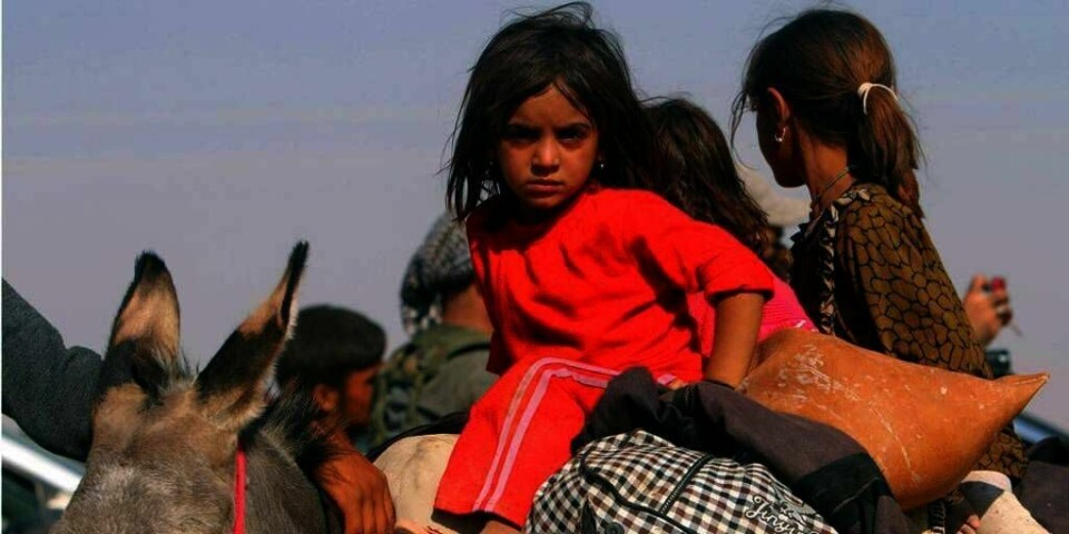 FLYKTER: Flere religiøse grupper i Nord-Irak er på flukt. De blir truet på livet av IS. Rundt 5.000 flyktninger er på Sinjar-fjellet.