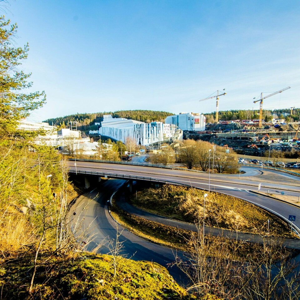 GRØNT: Det er lite snø å se flere steder i Norge. Oslo har ikke hatt noe snø i januar i år. Trærne er grønne.