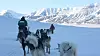 Bildet viser hunder i slede på Svalbard.