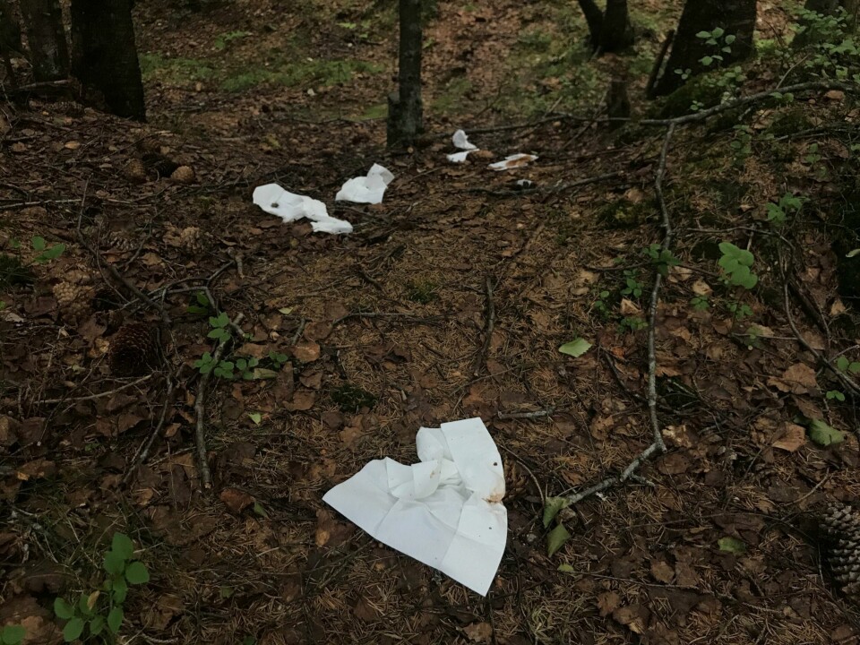 DOPAPIR: Dopapir i skogen